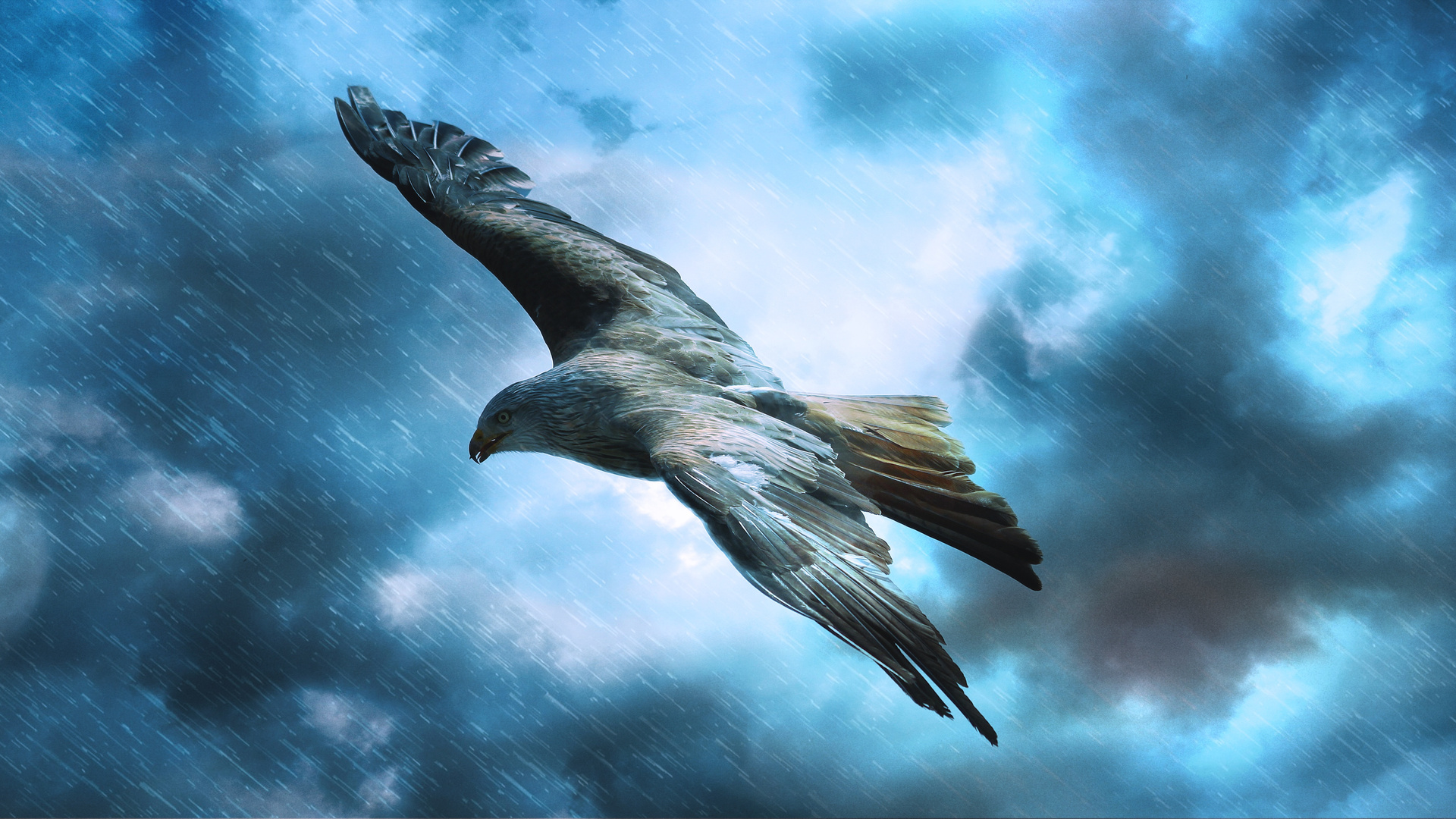 Adler Raptor Eagle 5k