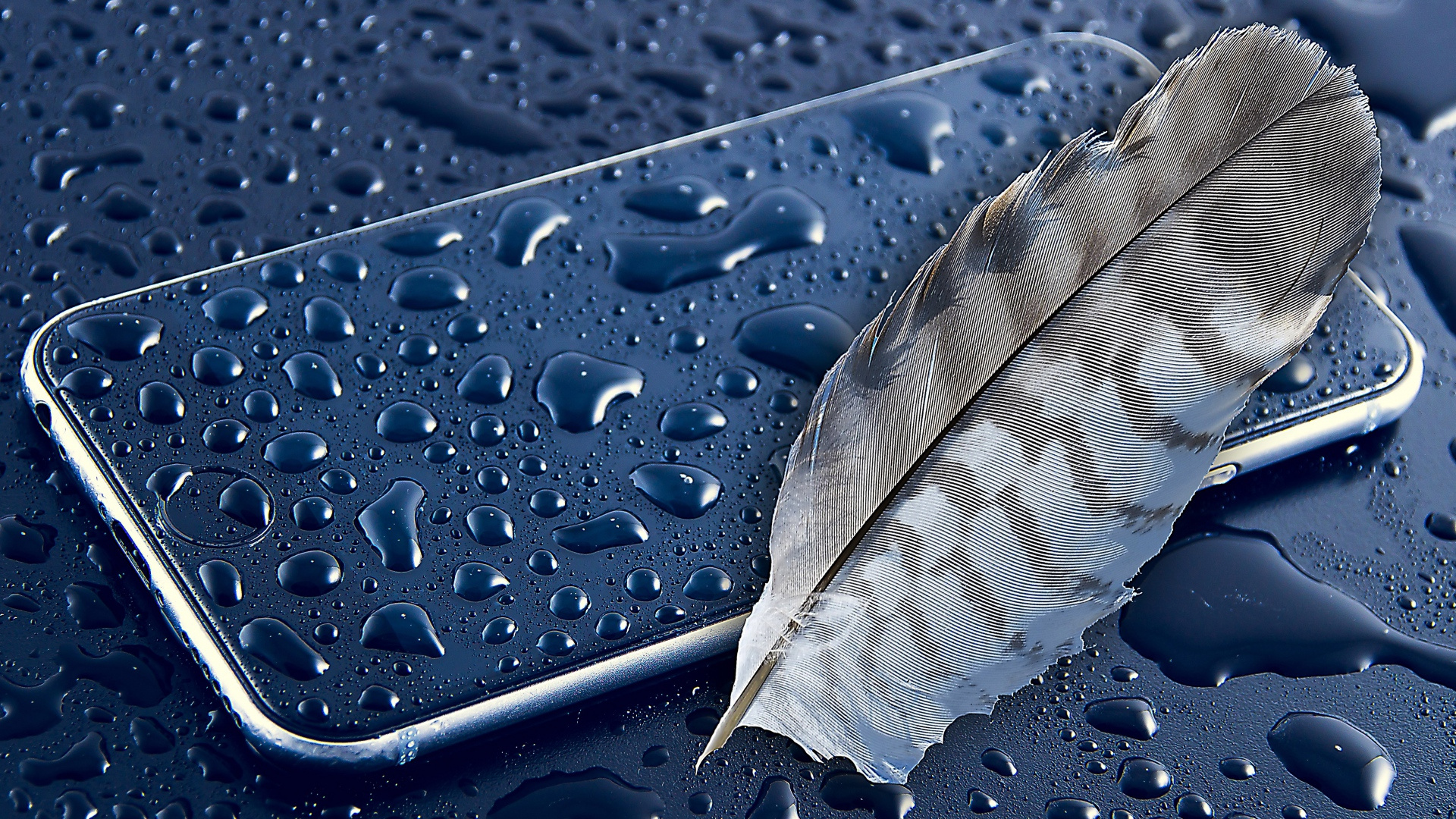 Apple Feather
