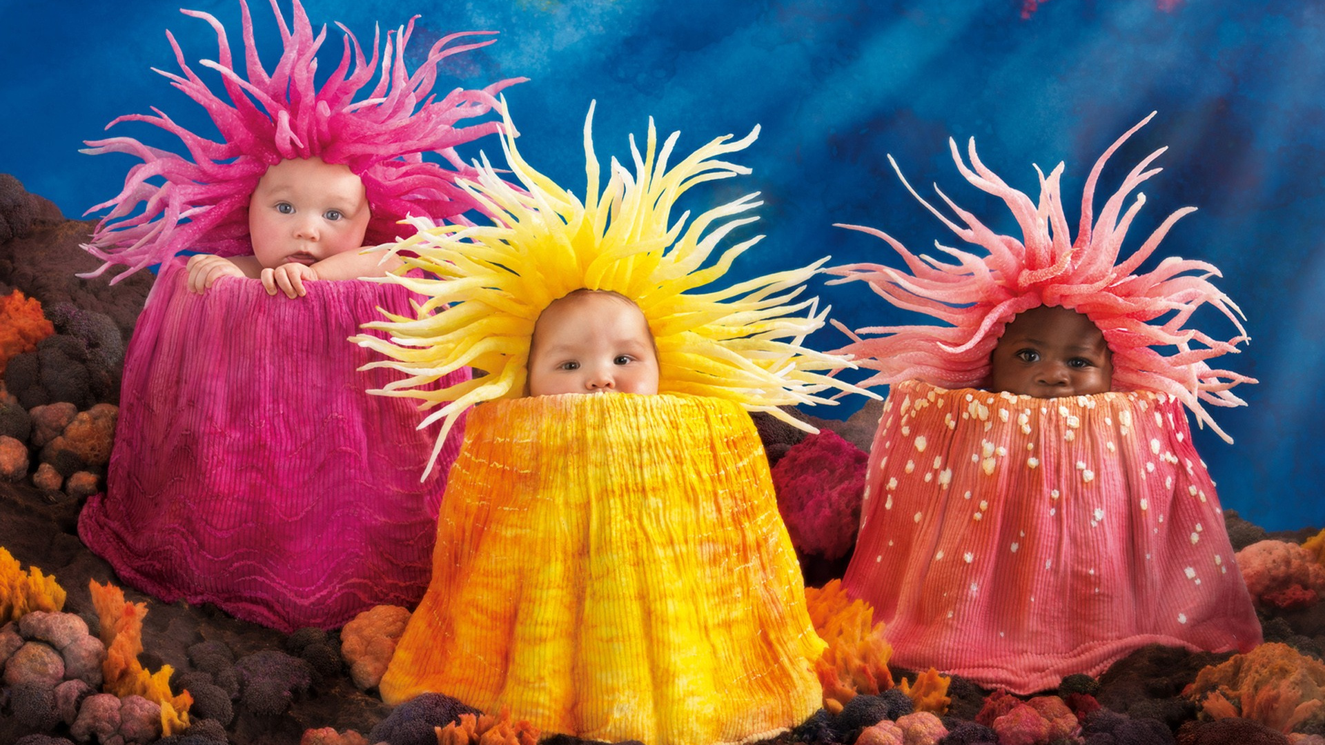 Babies Cute