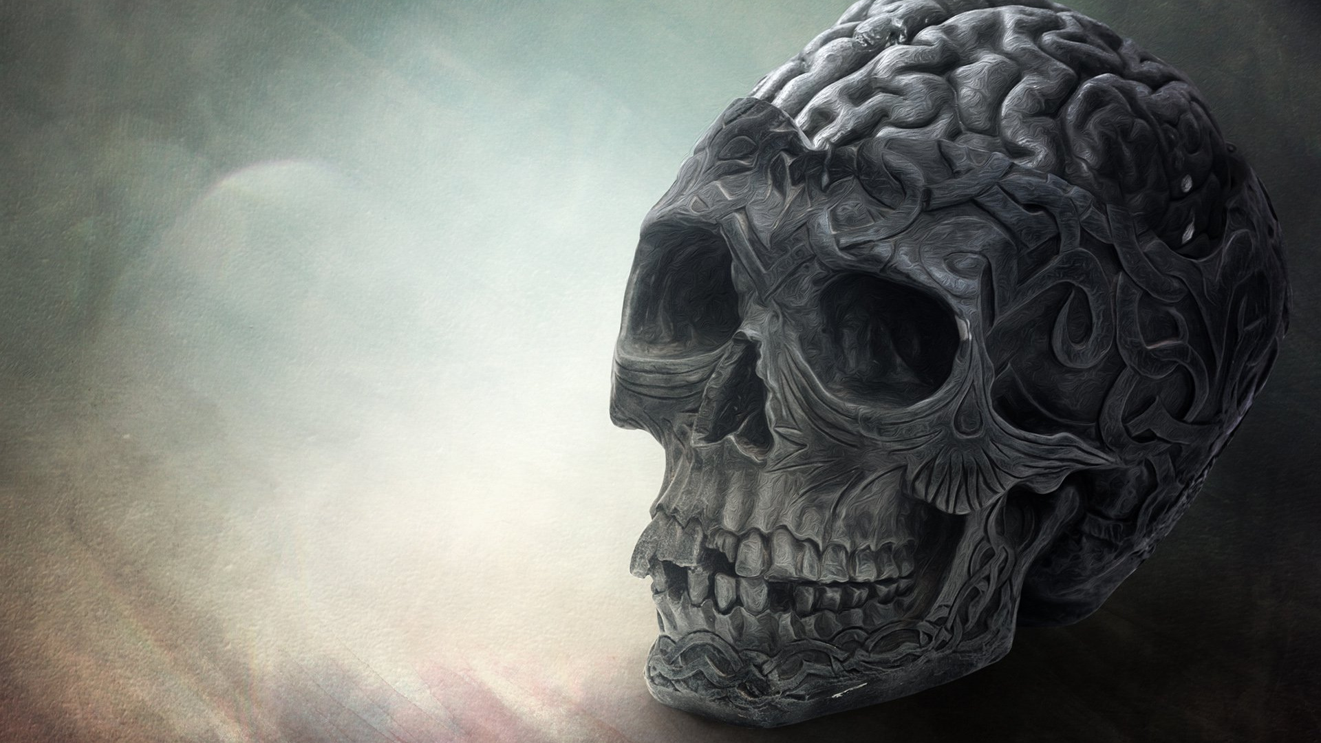 Brain Skull