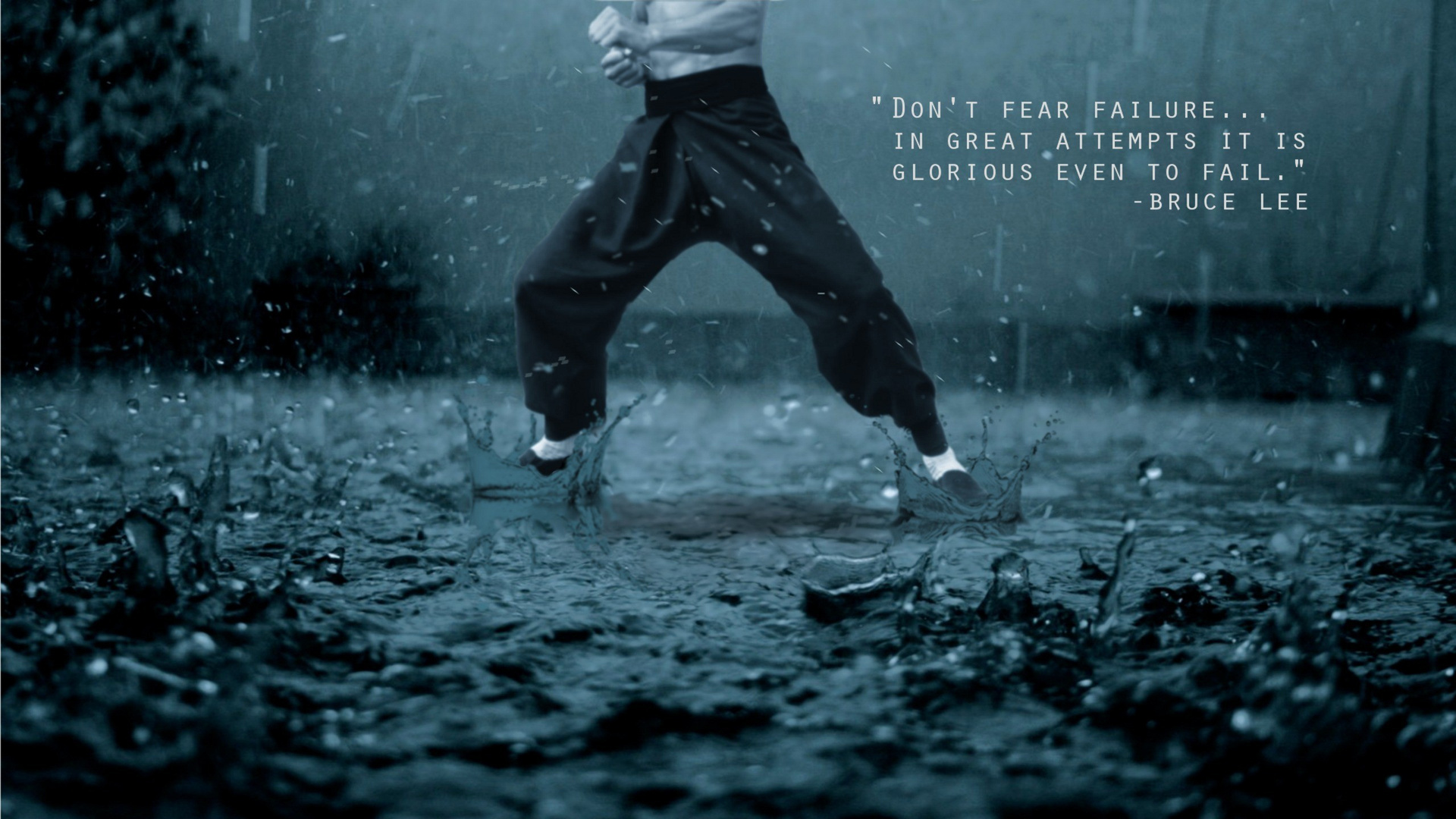 Bruc Lee Quote