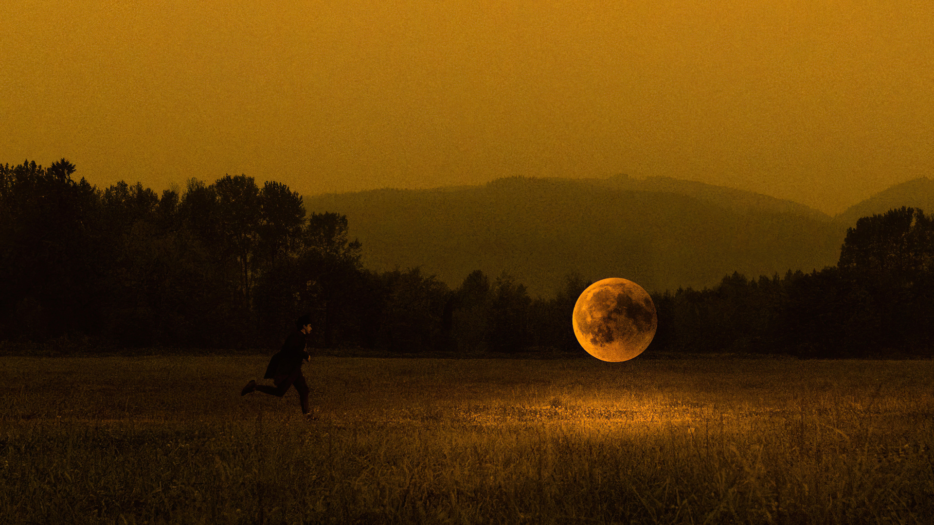 Catching The Moon 4k