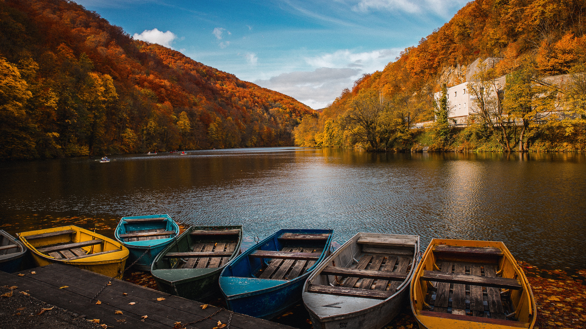 Colored Row Boats 5k