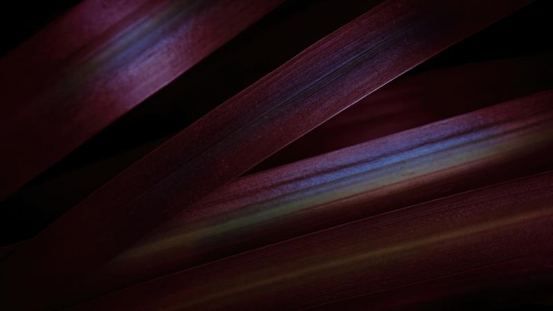 Abstract Purple 5k