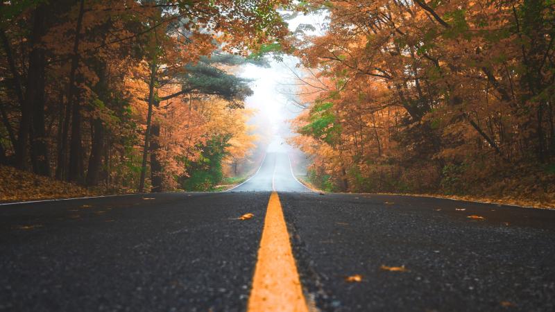 Alone Road Autumn 4k