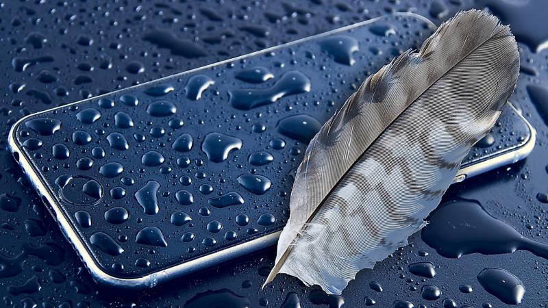 Apple Feather