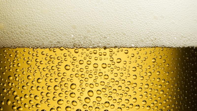 Beer Drink