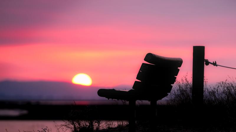 Bench Clouds Pink Backlight