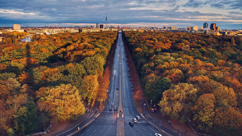 Berlin Houses Roads Trees
