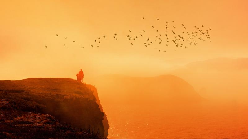 Bird Flock And Us - Wallpaper Download