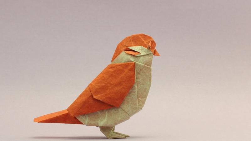 Bird Origami