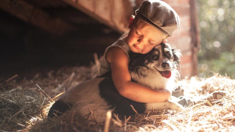Boy Outdoors Hugging Dog 5k