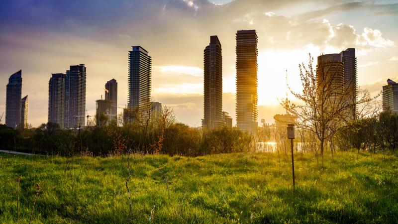 Building Cityscape Grass Sunbeam Sunrise