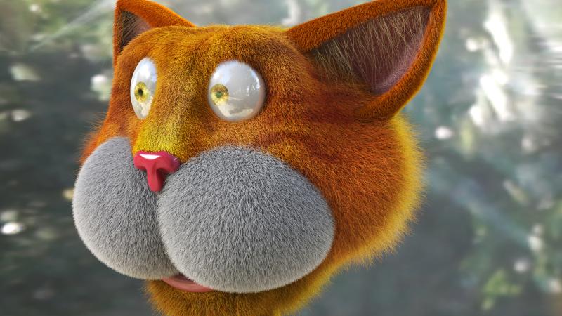 Cat 3d Saying