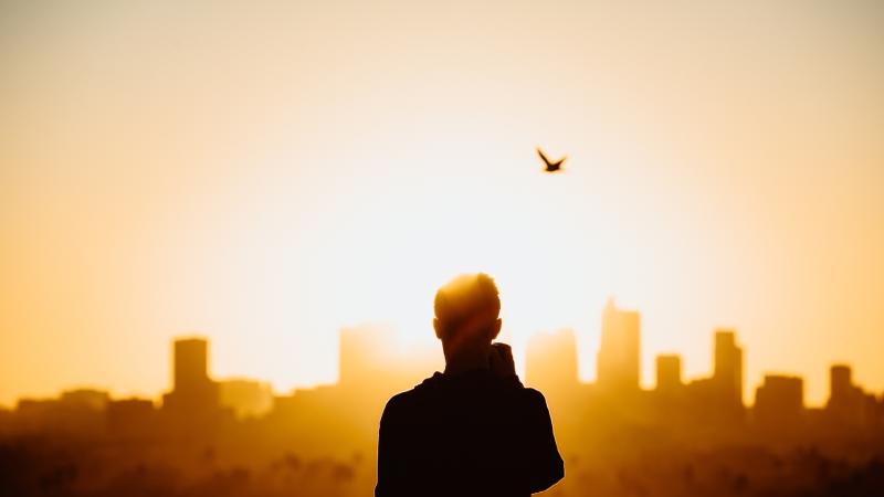 Cityscape Photographer Silhouette