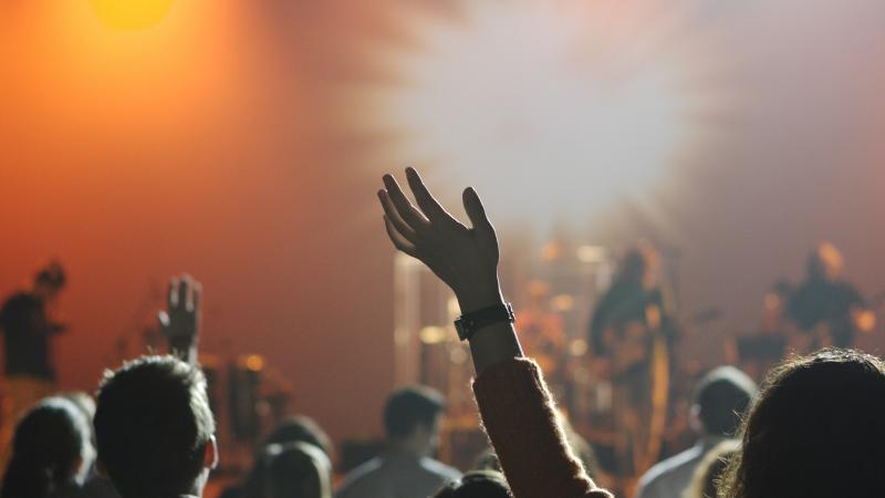 Concert Crowd