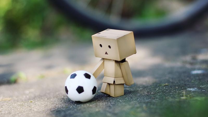Danbo Soccer Fan
