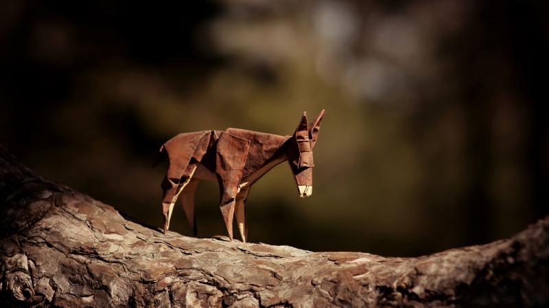 Donkey Origami