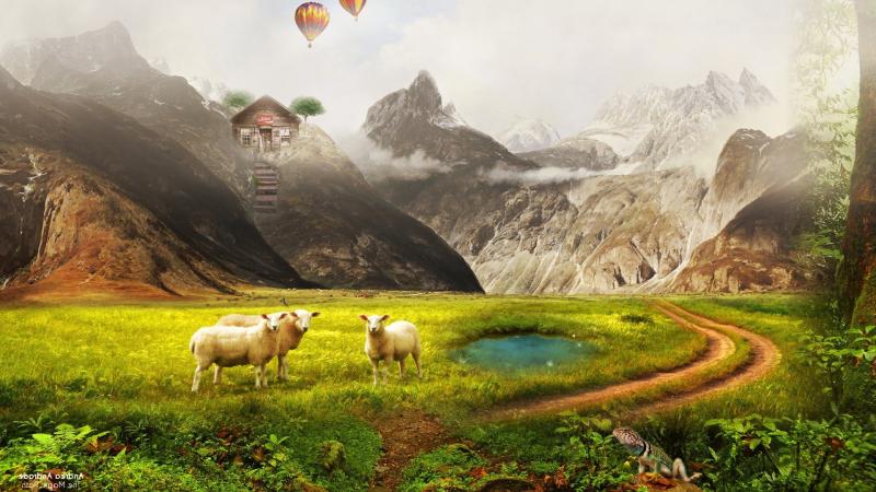 Dream Way