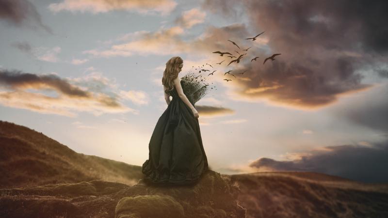 Freedom