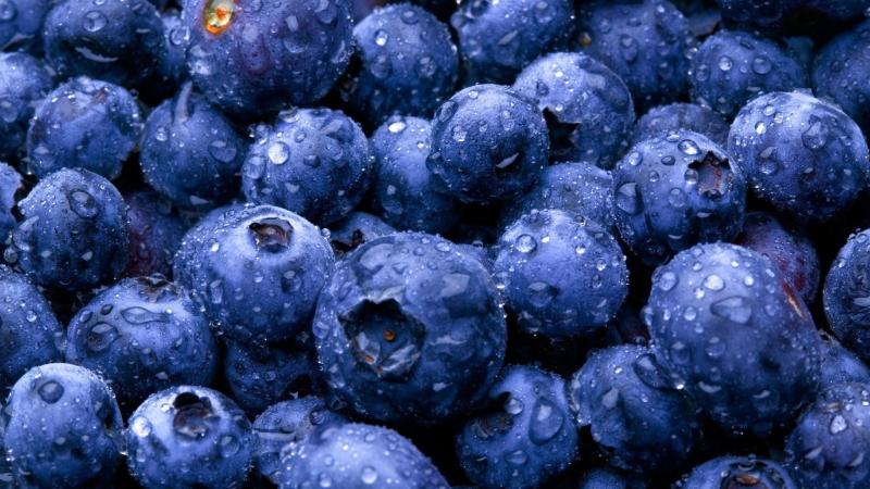 Fruits Bosbes