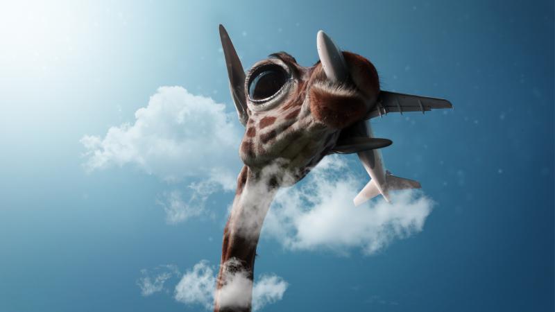 Giraffe Passing Plane