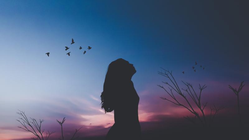 Girl Silhouette Shadow Birds Flying