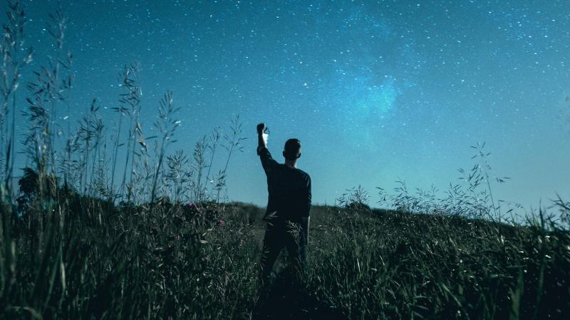 Guy With Lantern Dusk Forest 4k