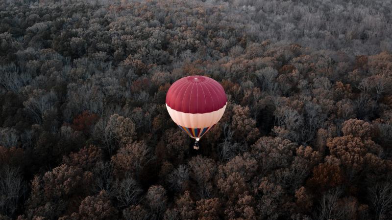 Hot Air Balloons Aerial View Forest