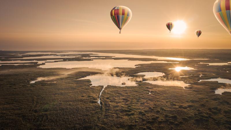 Hot Air Balloons Sky