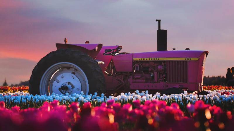 John Deere Tractor In Flower Farm 4k