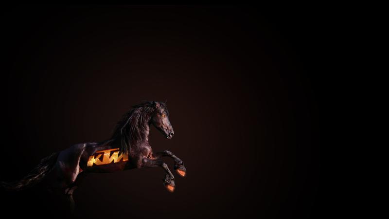 Ktm Horse
