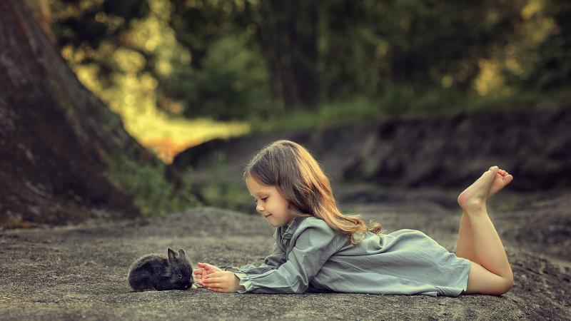 Little Girl Lying Down And Playing With Rabbit