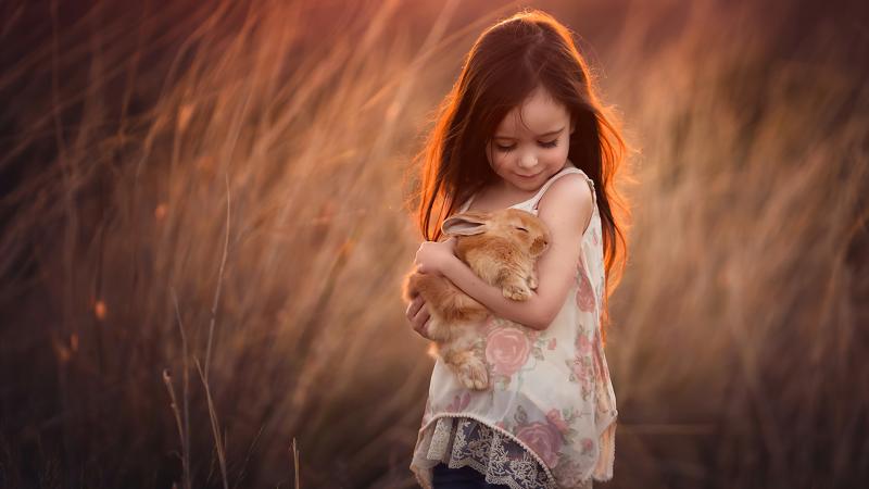 Little Girl With Rabbit In Hands 4k