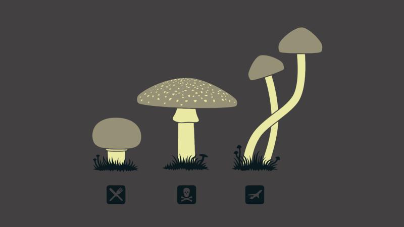 Mushroom Minimalism