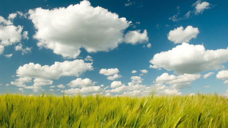 Nature Photography