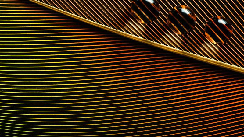 Orange Leaves Macro Water Drops 4k - Wallpaper Download