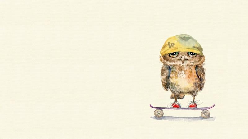 Owl On Skateboard