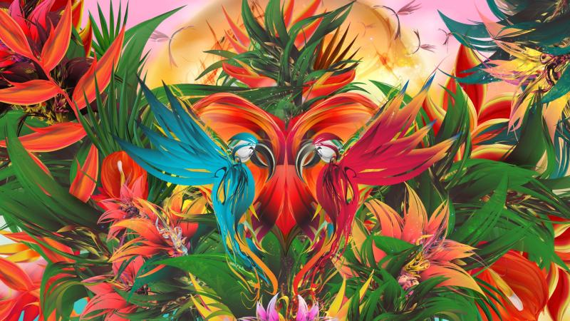 Parrot Colors - Wallpaper Download