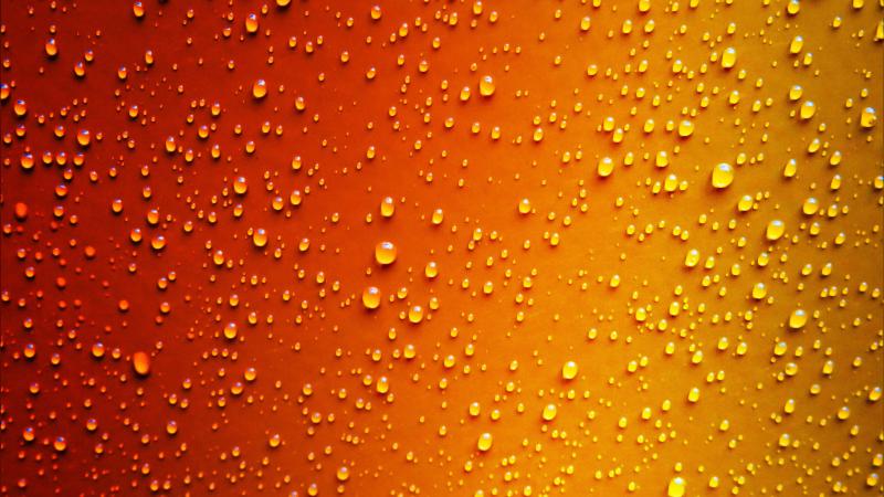 Red Yellow Dew Drop Wet 5k