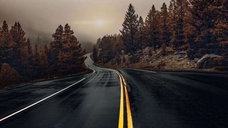 Road Between Woods