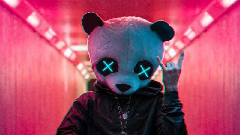Rockstar Panda 4k