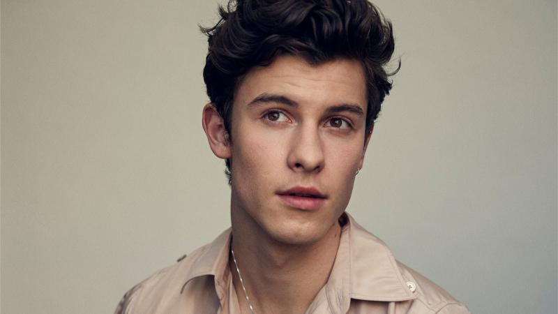 Shawn Mendes 2019