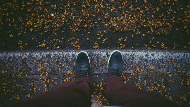 Sneakers Autumn Leaves Fallen 5k