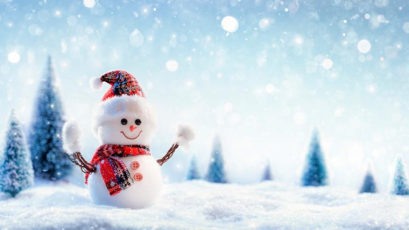 Snowman 8k