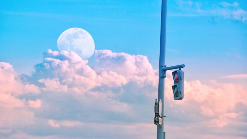 Traffic Light Pole In The Dreamlight