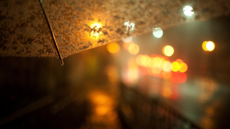 Umbrella Photography