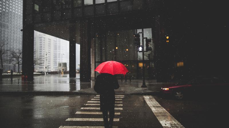 Umbrella Rain Person