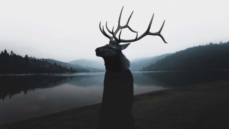 Unholy Deer