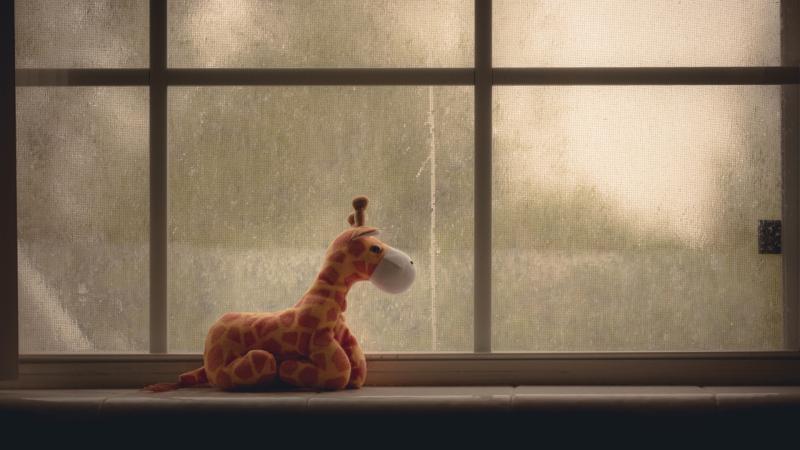 Window Ziraffe 4k